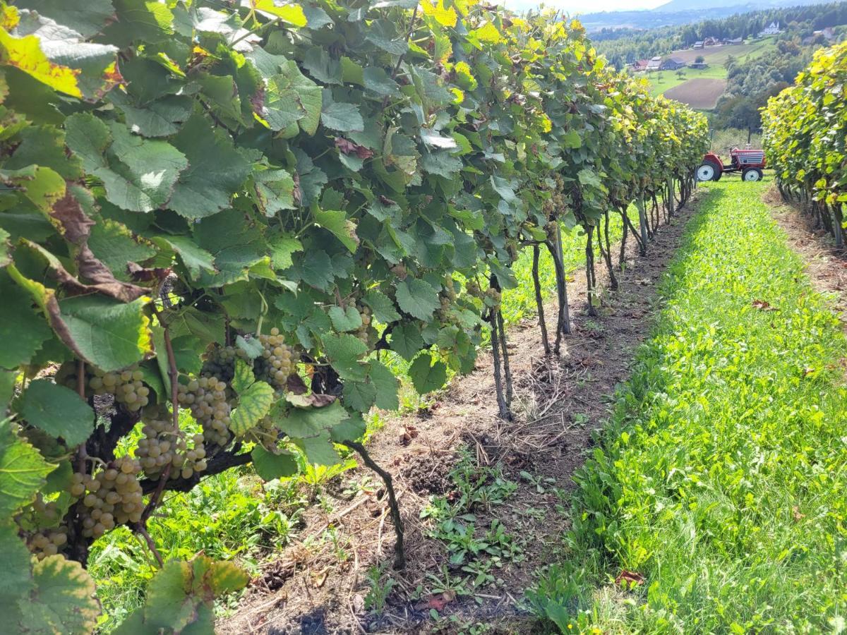 Fantastic View Vineyard Beskid Mountains Gruszow  Esterno foto