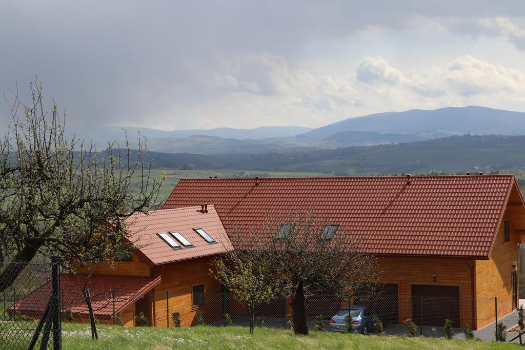 Fantastic View Vineyard Beskid Mountains Gruszow  Esterno foto